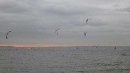 Jaro, Darko, Lyle, Jim